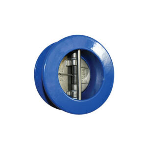 CI Water Type Dual Plate Check Valves