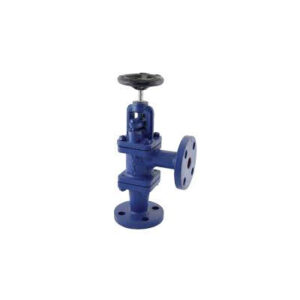 Cast Iron Accessible Feed Check valve