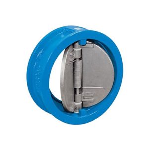 CI Water Type Dual Plate Check Valves Manufacturer In Kolkata