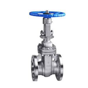 CS Gate Valves Manufacturer in kolkata