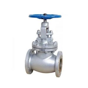 Cast CS Globe Valves Flanged Manufacturer in Kolkata, India