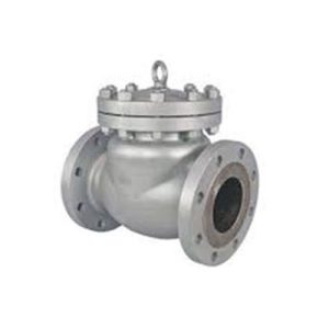 Cast CS Swing Check Valves Flange Manufacturer in kolkata