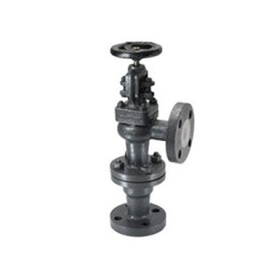 Cast Iron Accessible Feed Check Valves Manufacturer in Kolkata
