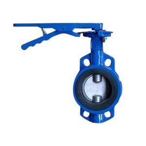 Cast Iron Butterfly Valves manufacturer in Kolkata