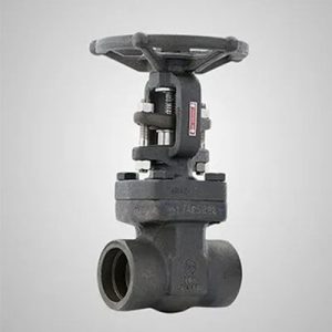 Forged CS Gate Globe & Check Valves-p