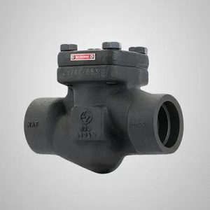 Forged CS Gate Globe & Check Valves Manufacturer in Kolkata, India
