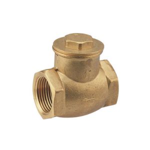 Non Return Valve Manufacturer in Kolkata