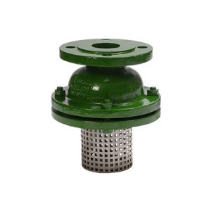 Suction Strainer Valve Manufacturer in kolkata